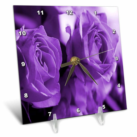 3dRose Flowers 10x10 Wall Clock dpp_4121_1 Purple Irises 